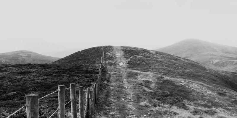 2024年网络营销制胜关键：洞悉SEO最新算法趋势与实战应对策略