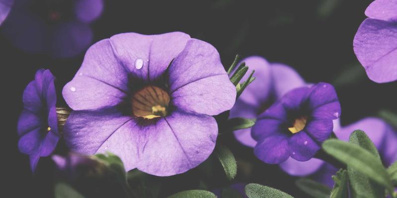 KOL营销实战指南：TTCMM模型驱动品牌影响力指数级增长