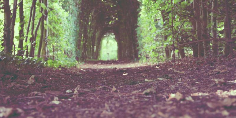 TTCMM模型驱动:大数据如何重塑网络营销策略,实现转化率倍增