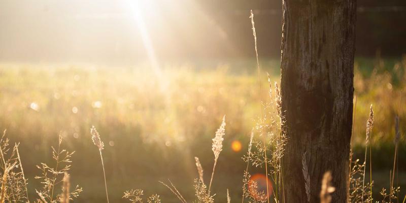 从盲目投放到精准引爆：科学筛选、合作与评估KOL/KOC效果的ROI最大化指南