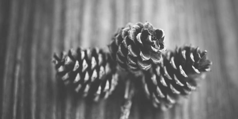 营销预算分配指南：首次点击、最终点击与数据驱动归因模型深度对比