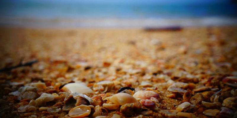 语音搜索优化实战:如何用TTCMM模型为Alexa与小度布局内容,驱动品牌增长